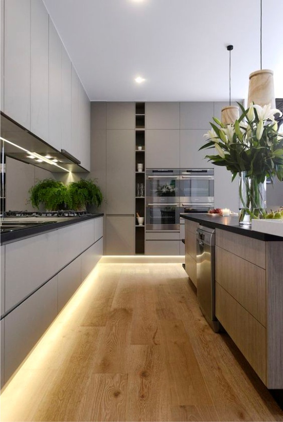 Plants in the interior of the kitchen