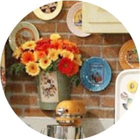 Plates on the wall in the series friends