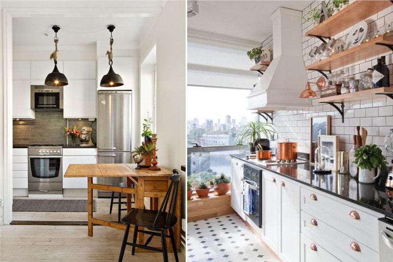 Plants in the interior of the kitchen