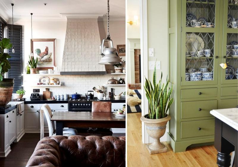 Plants in the interior of the kitchen in a classic style - sansevieriya