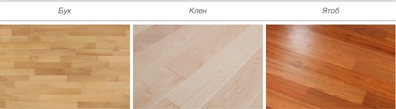 Các biến thể của thiết kế sàn gỗ - beech, maple, jatoba