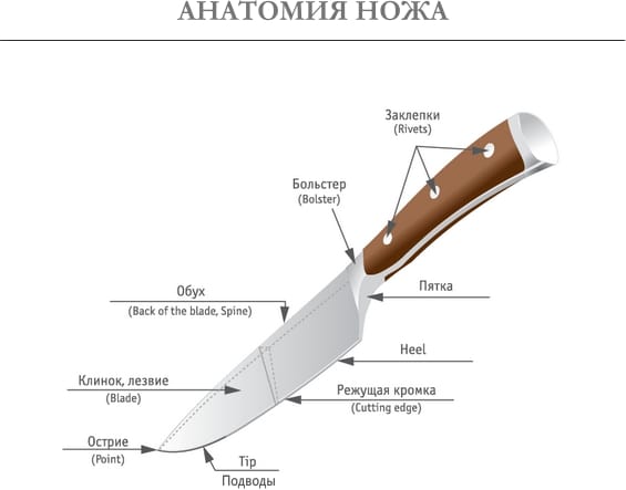 Anatomie du couteau