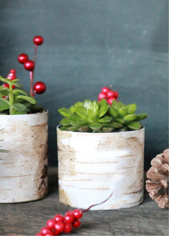 The pots from the tin cans decorated by birch bark