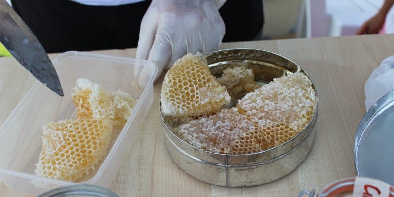 Honey storage in honeycombs