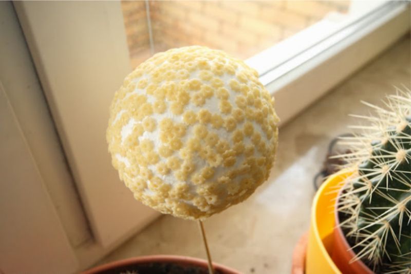 Boule de Noël faite de flans de mousse et d'étoiles de pâtes