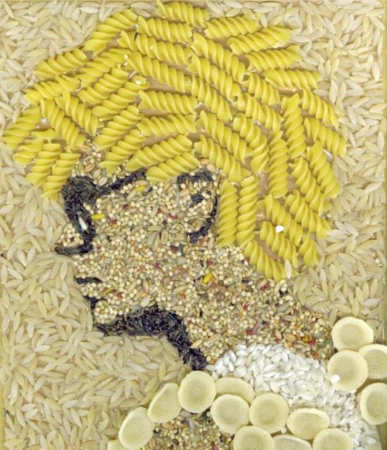 Panel of cereals and pasta