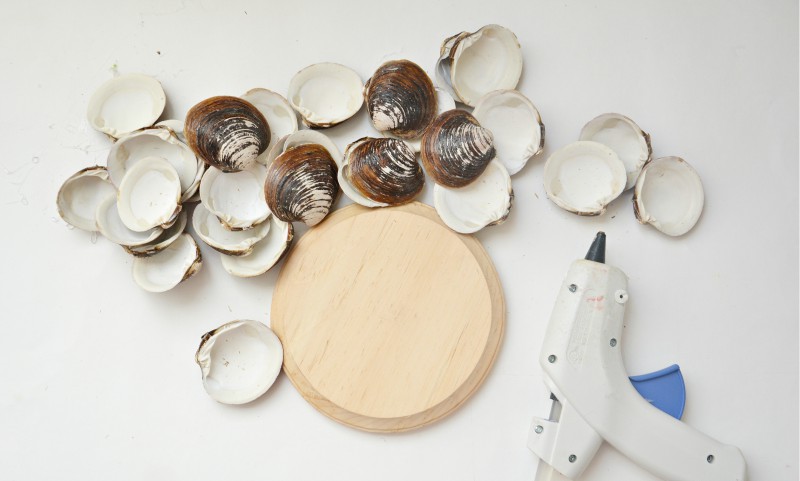 Materials needed for the manufacture of candlesticks from seashells