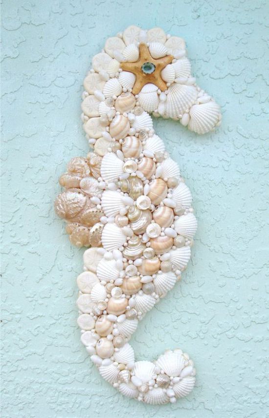 Panel of seashells