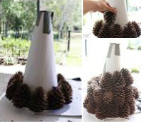 The principle of forming a tree of cones