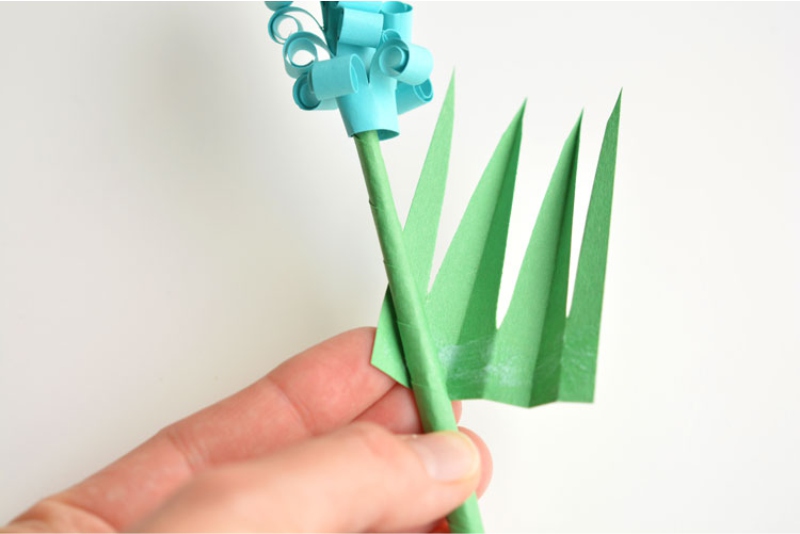 Paper hyacinths