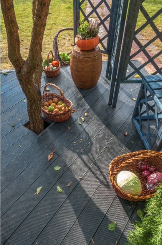 Tree in the summer kitchen on the veranda