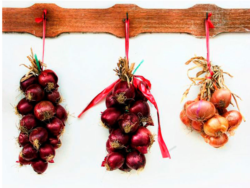 Storage of onions in bundles