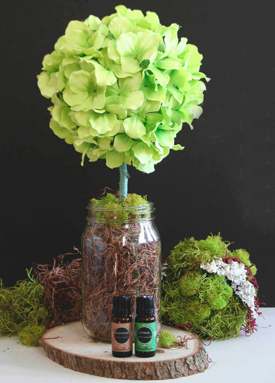 Topiary idea