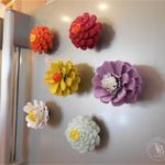 Fridge Magnets of Cones Flowers