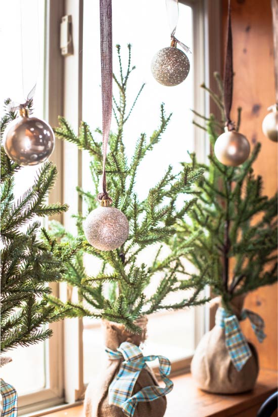 Mini Christmas trees on the window