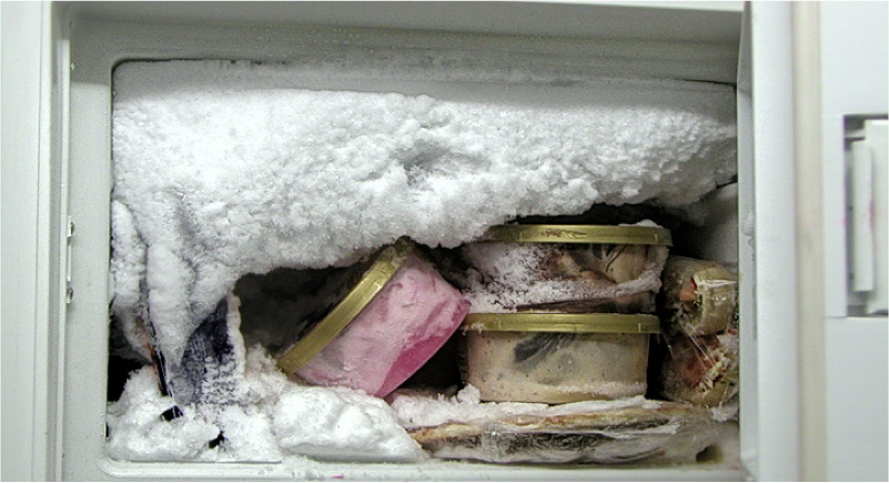 Snow coat in the freezer